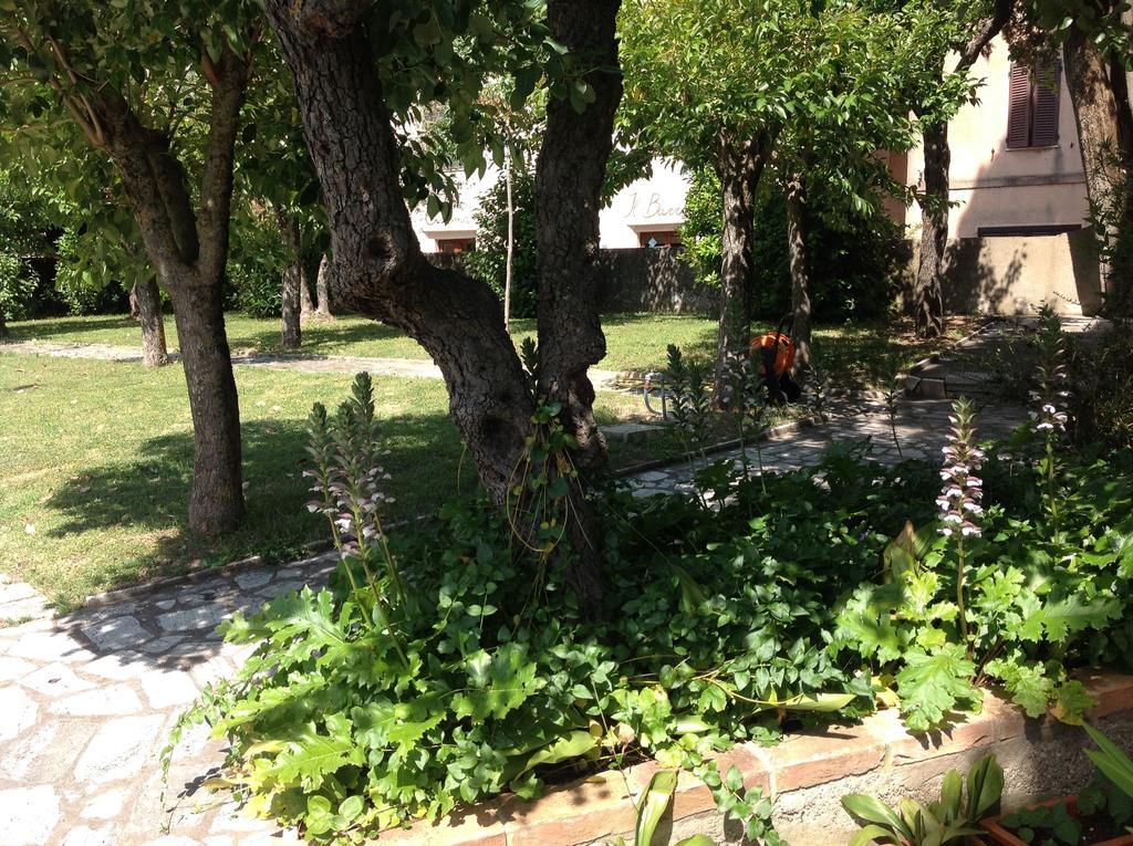 Vila La Romita Ospitalita Rurale Familiare Montisi Exteriér fotografie
